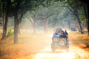 Jeep Safari (2)