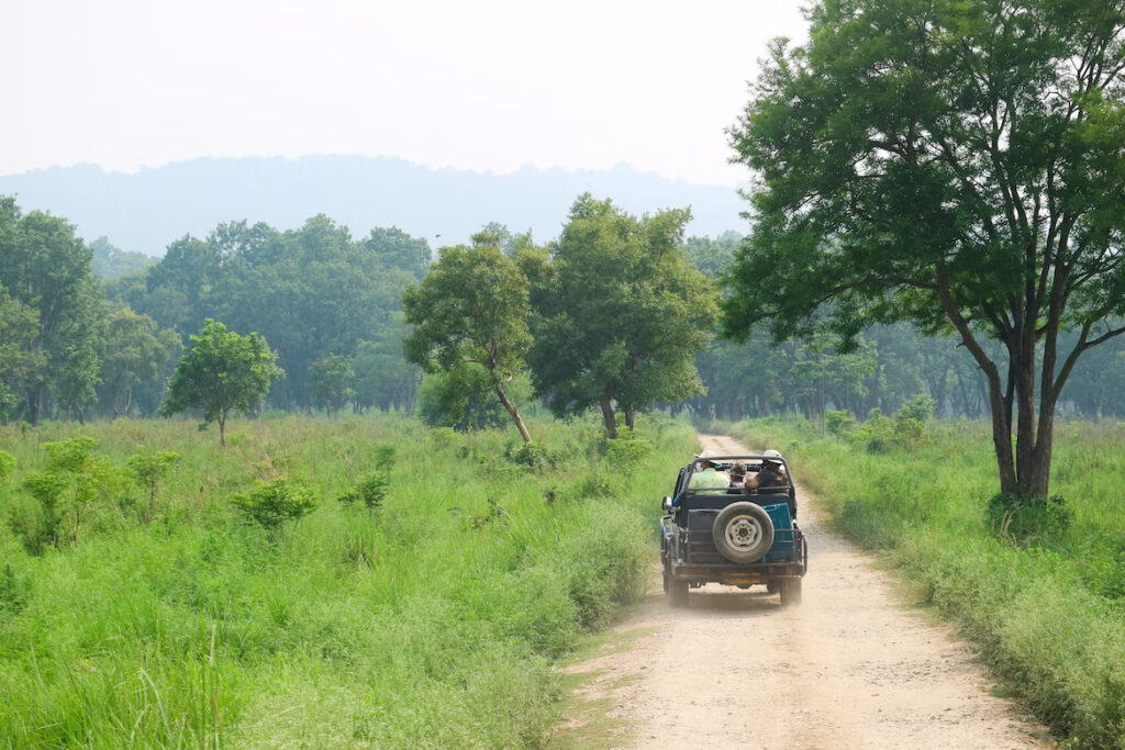 Jeep Safari (3)