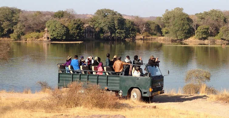 canter-in-ranthambore