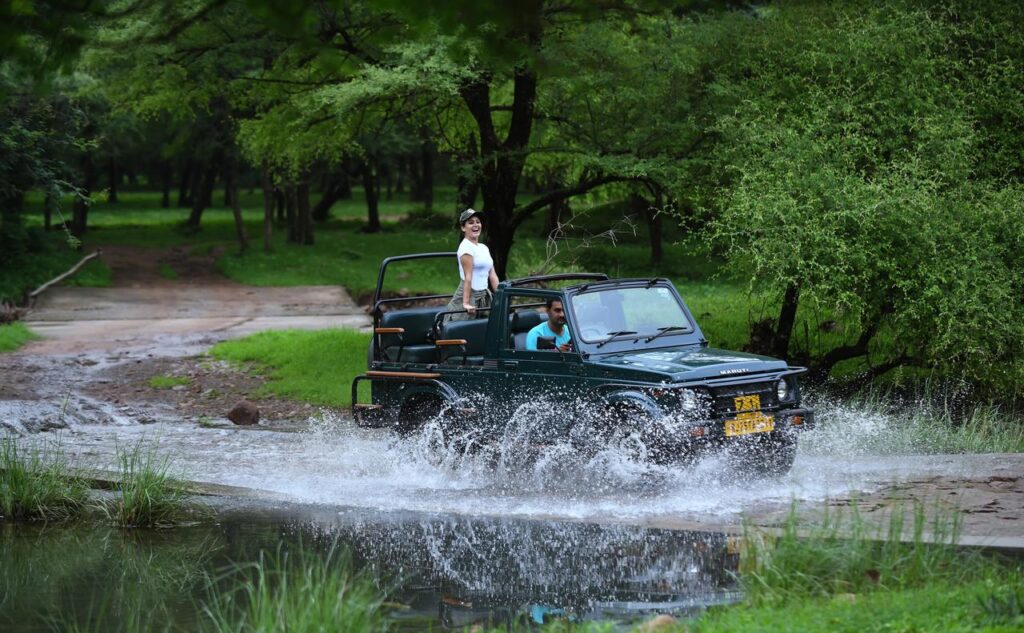 Jeep Safari